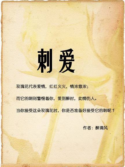 刺爱（影片）
