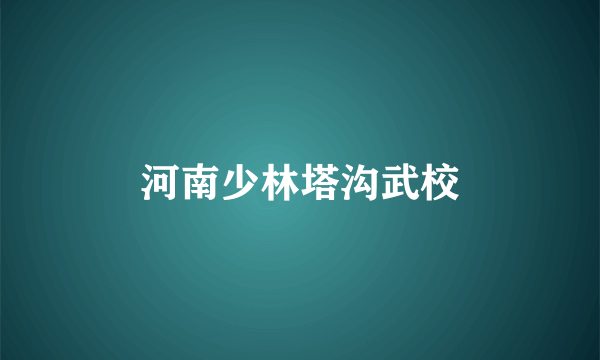 河南少林塔沟武校