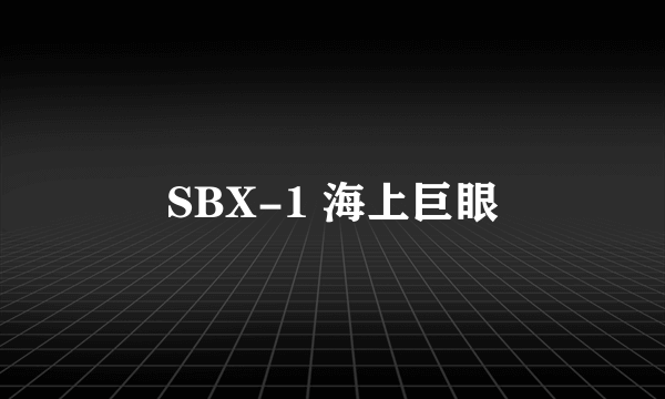 SBX-1 海上巨眼