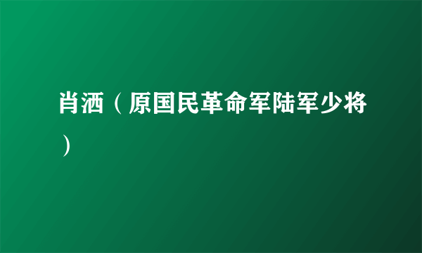 肖洒（原国民革命军陆军少将）
