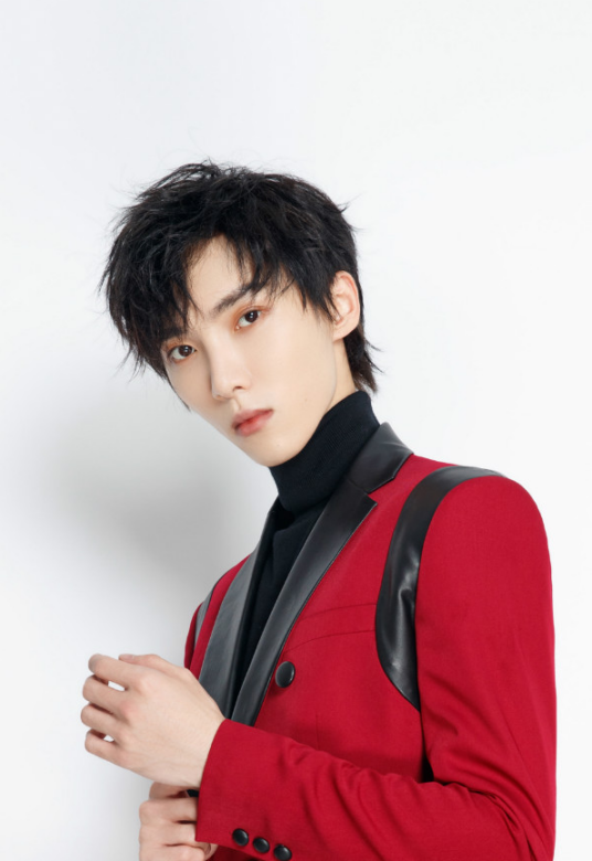 赵磊（中国内地青年男歌手、演员）