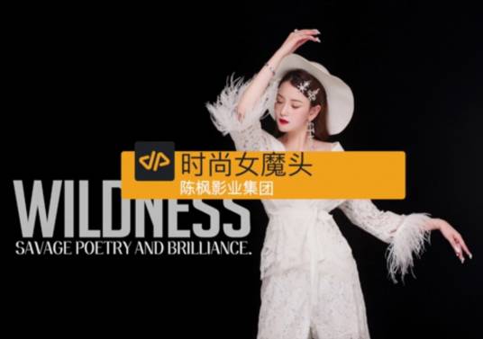 时尚女魔头（陈枫影业集团2019年出品录制100集网剧）
