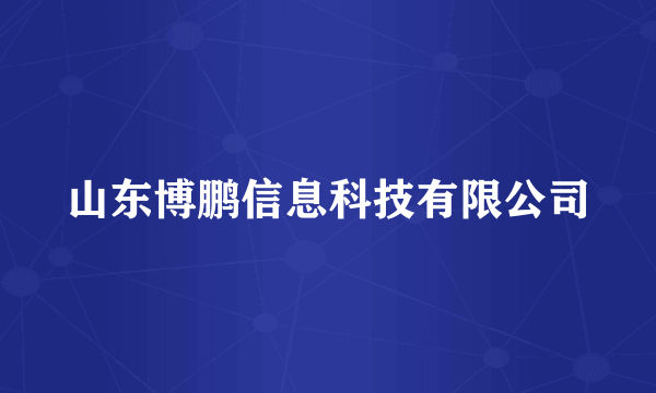山东博鹏信息科技有限公司