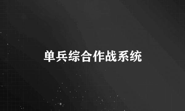 单兵综合作战系统