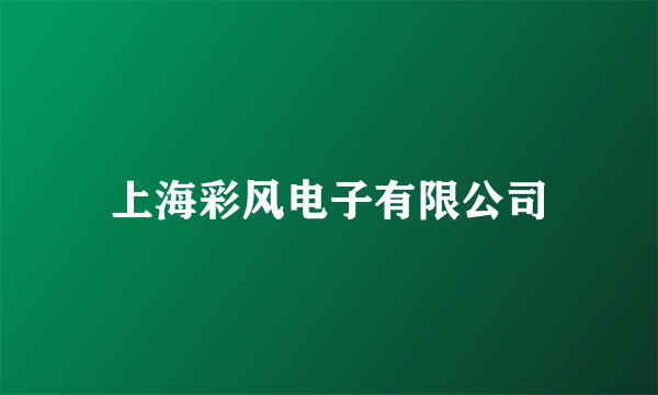 上海彩风电子有限公司