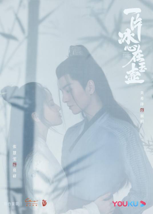 一片冰心在玉壶（2021年张慧雯、吴希泽主演的古装言情剧）