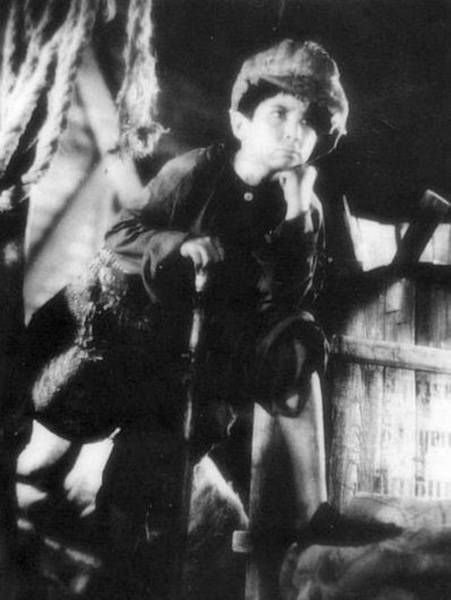 迷途的羔羊（1936年蔡楚生执导的剧情电影）