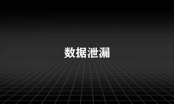 数据泄漏