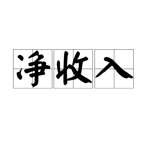 净收入
