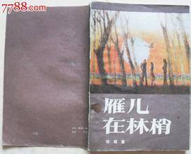 雁儿在林梢（2004年长江文艺出版社出版的图书）