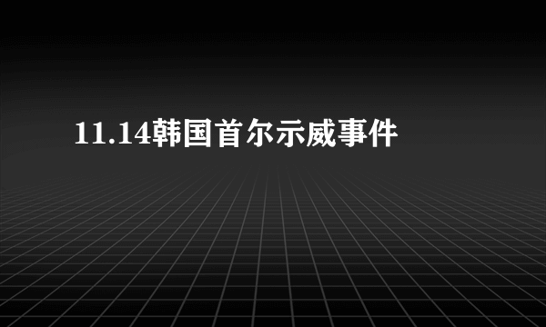 11.14韩国首尔示威事件