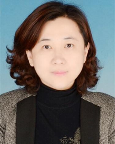 魏欣（北京市通州区人大常委会中仓街道工作委员会主任）