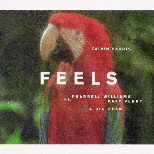 Feels（加尔文·哈里斯制作单曲）