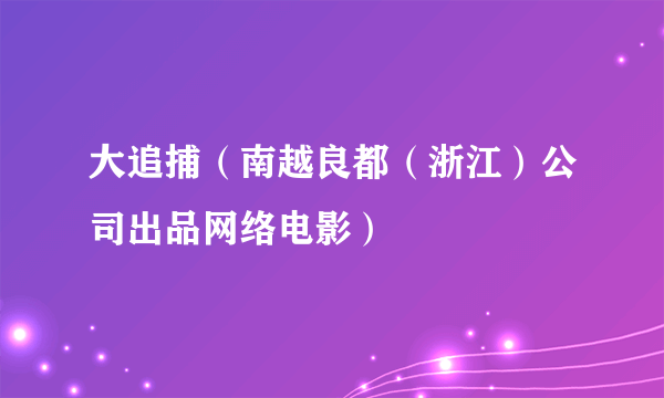 大追捕（南越良都（浙江）公司出品网络电影）