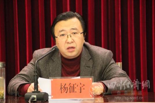 杨征宇（海归学者）