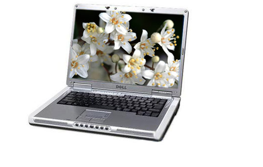戴尔Inspiron 6400(N510313)