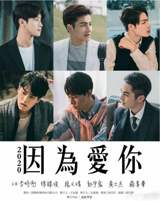 因为爱你（2020年周美玲执导电视剧）