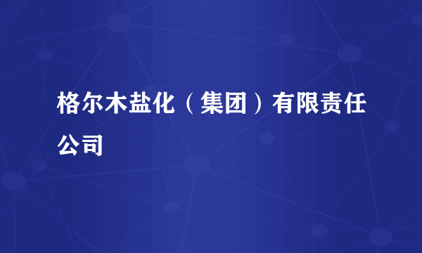 格尔木盐化（集团）有限责任公司