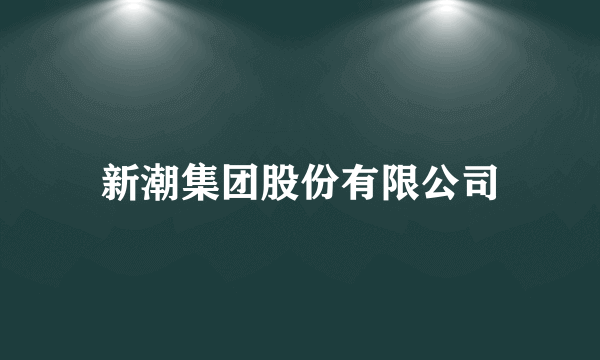 新潮集团股份有限公司
