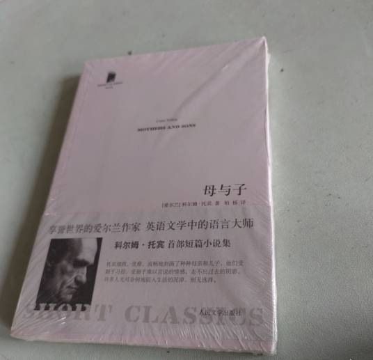 母与子（2011年人民文学出版社出版的图书）
