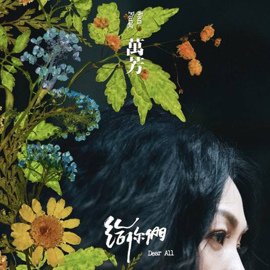 回家吧（万芳演唱歌曲）