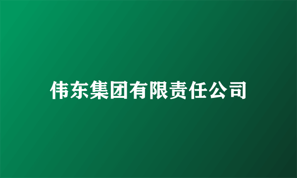伟东集团有限责任公司