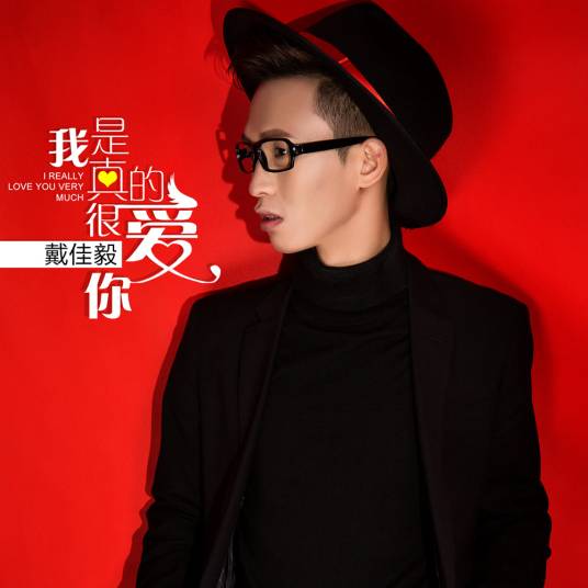 我是真的很爱你（戴佳毅演唱歌曲）