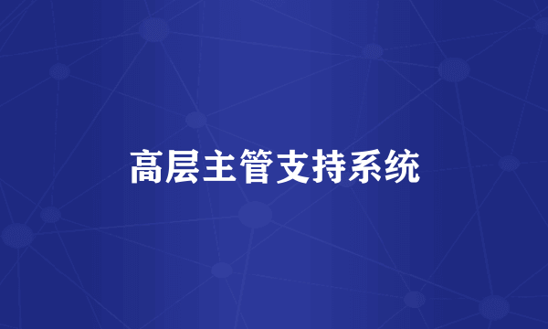 高层主管支持系统