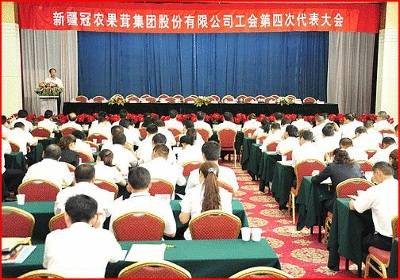 冠农股份