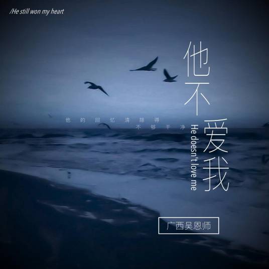 他不爱我（吴恩师演唱歌曲）