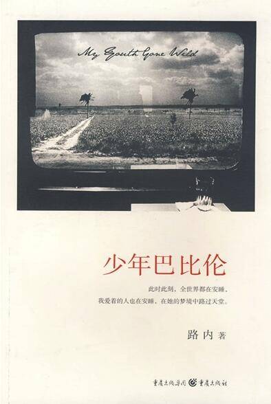 少年巴比伦（路内创作长篇小说）