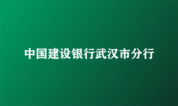 中国建设银行武汉市分行