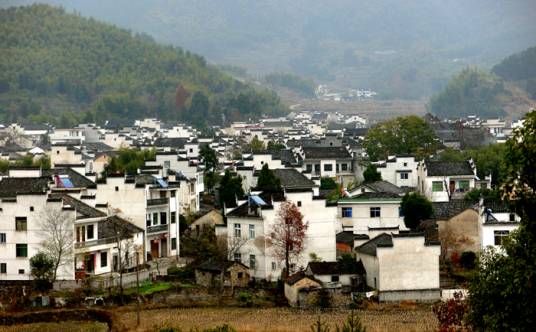 顺江村（四川省成都市武侯区簇锦街道顺江村）