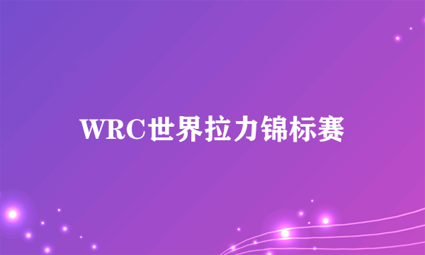 WRC世界拉力锦标赛