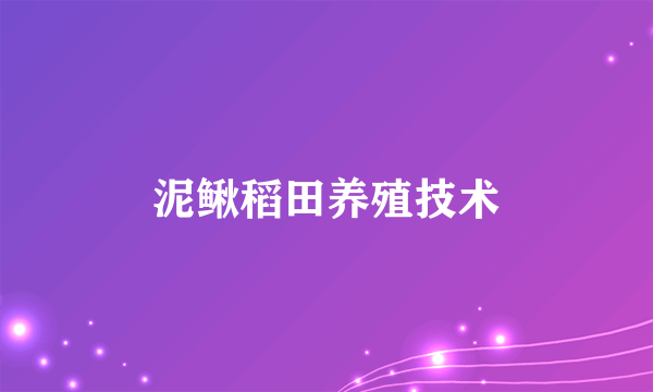 泥鳅稻田养殖技术