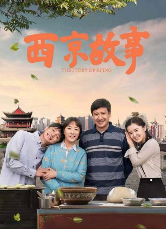 西京故事（2016年姚远执导的电视剧）