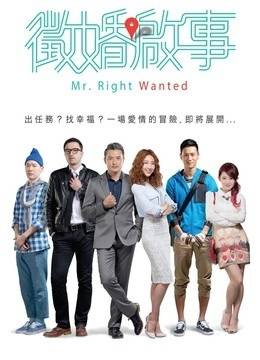 征婚启事（2014年连奕琦执导的电视剧）