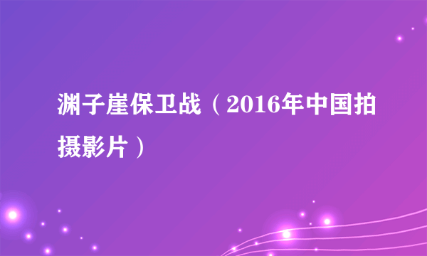 渊子崖保卫战（2016年中国拍摄影片）
