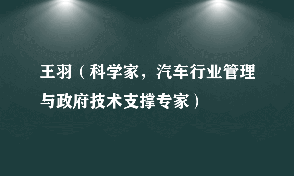 王羽（科学家，汽车行业管理与政府技术支撑专家）