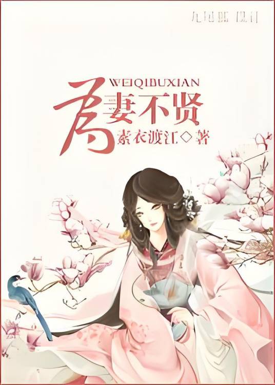 为妻不贤（素衣渡江创作的网络小说）
