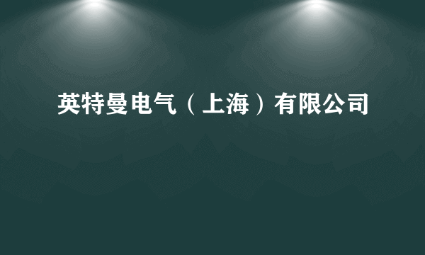 英特曼电气（上海）有限公司