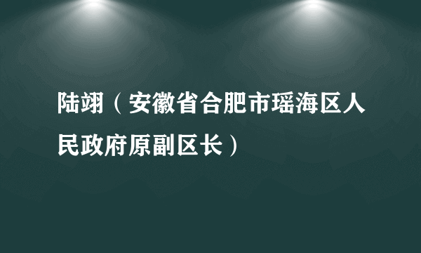 陆翊（安徽省合肥市瑶海区人民政府原副区长）