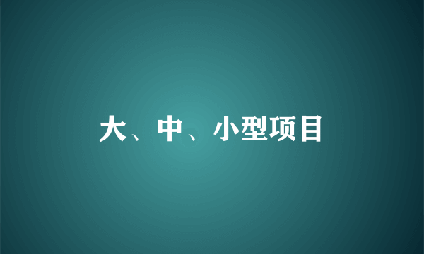 大、中、小型项目