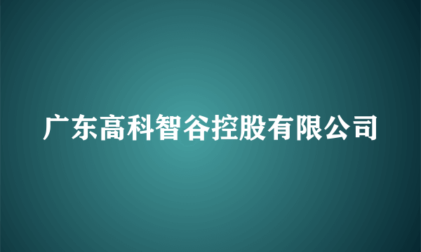 广东高科智谷控股有限公司