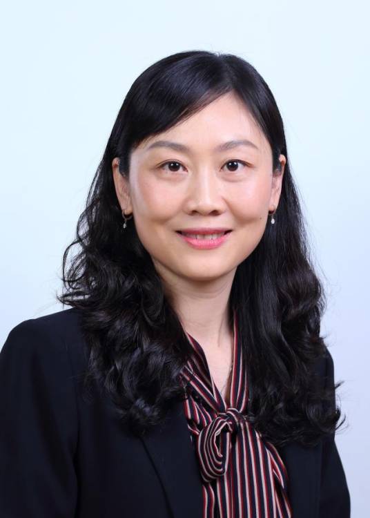 李妮（北京航空航天大学教授）