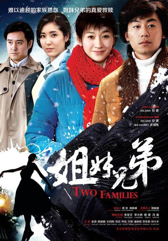 姐妹兄弟（2014年安建执导年代情感剧）