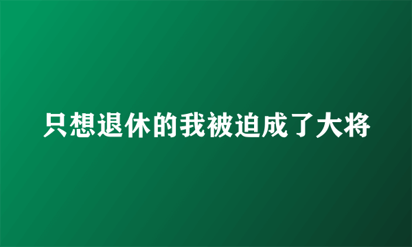 只想退休的我被迫成了大将