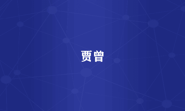 贾曾