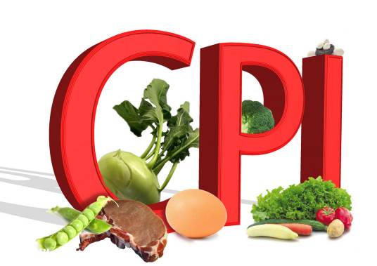 CPI（公司基础管理指标）