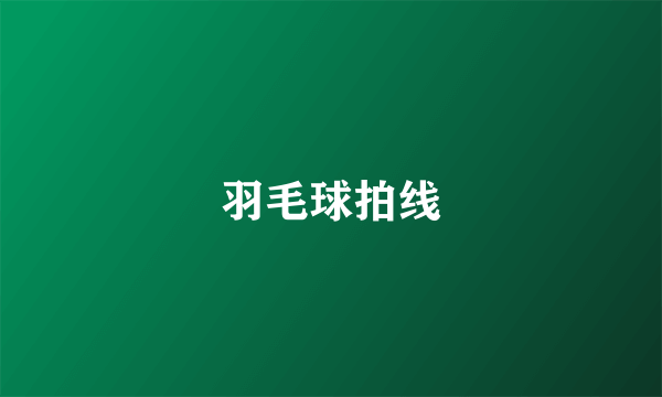 羽毛球拍线